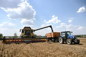 Свободная агроторговля: хаос или жизнь по правилам?