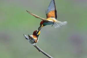 Ученые впервые обнаружили массовую 