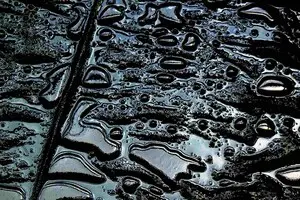 Экспорт нефтепродуктов из России достиг максимума с начала войны: почему так произошло