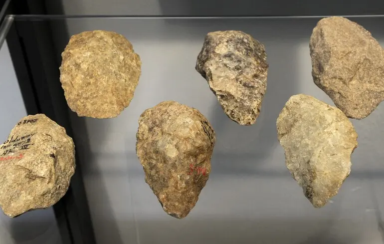 Люди кам’яної доби були “вибагливими” до матеріалів для виготовлення знарядь праці