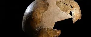 Вчені знайшли найдавніші докази схрещування Homo sapiens та неандертальців