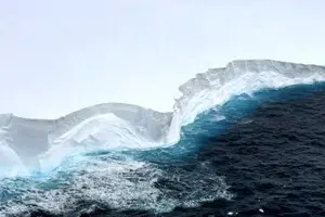 Катастрофа на горизонті: найбільший айсберг світу загрожує Антарктиці та її екосистемі