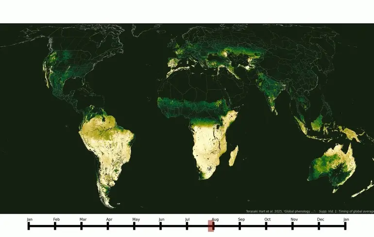 Времена года на Земле не совпадают: новое исследование меняет представление о сезонности
