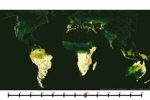 Пори року на Землі не збігаються: нове дослідження змінює уявлення про сезонність