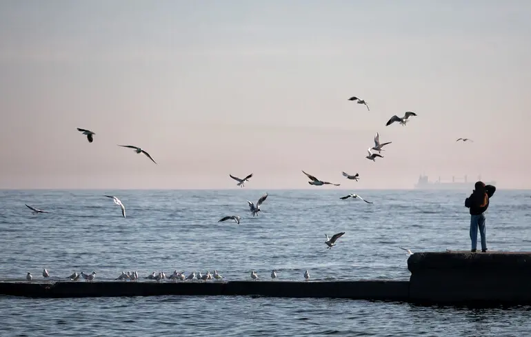 У ВМС заявили, що причиною підриву судна біля узбережжя Одеси була не морська міна