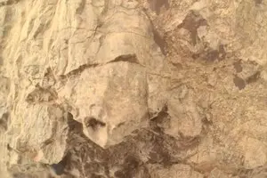 Ровер NASA знайшов 