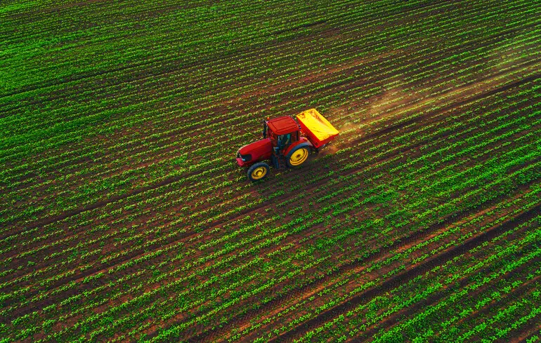 Українським фермеркам пропонують взяти участь в освітньо-грантовій програмі TalentA 2025-2026: які умови 