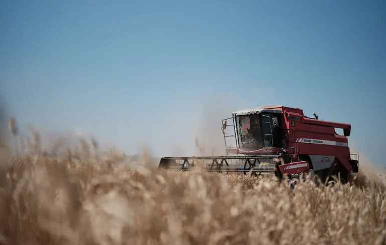 От кризиса до надежды. Как украинский агроэкспорт переживает один из самых сложных сезонов