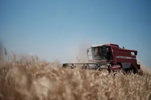 From Crisis to Hope. How Ukrainian Agricultural Exports Are Weathering One of Their Toughest Seasons