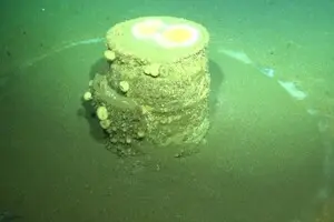 Загадкові кільця на дні Тихого океану: вчені розповіли, що це