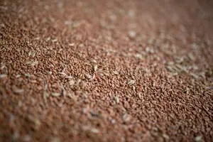 Россия перешла к торговле бартером: покупает у Китая авто за пшеницу, а подсанкционные товары за семена льна – Reuters