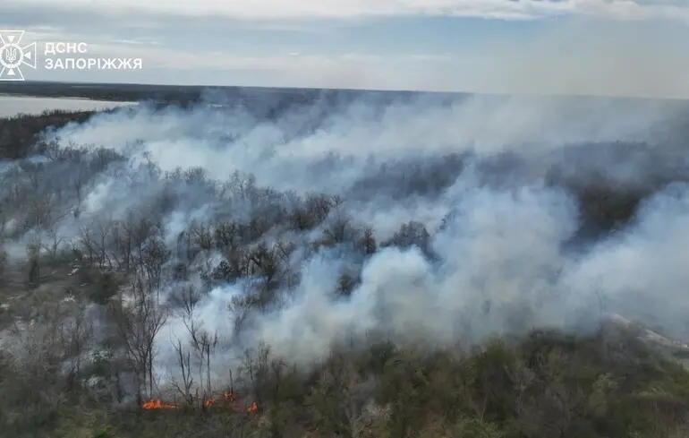 На острове Хортица вспыхнул крупный пожар – ГСЧС