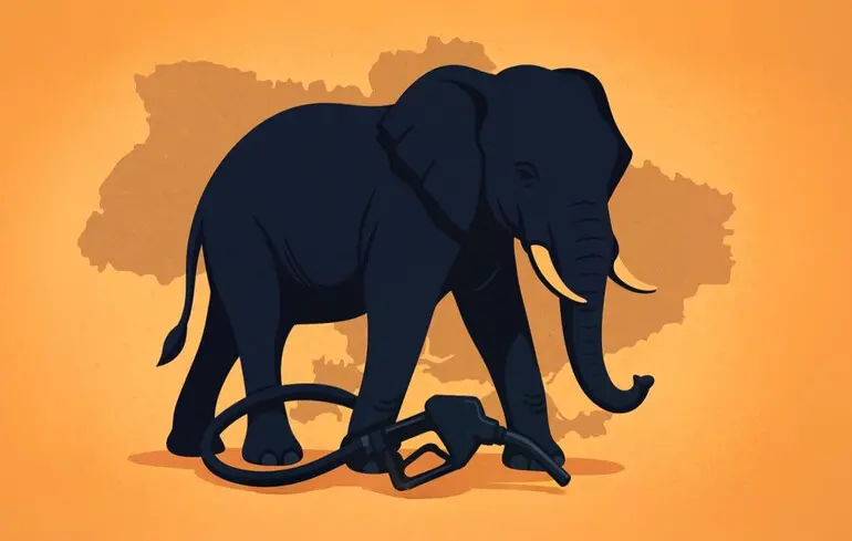 Дизель со слоном. Как Индия завоевала украинский и европейский топливные рынки