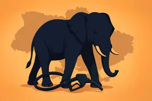 Дизель зі слоном. Як Індія завоювала український і європейський паливні ринки