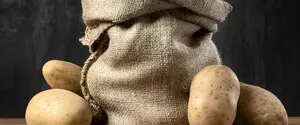 Закупівля картоплі на зиму: коли треба робити запас