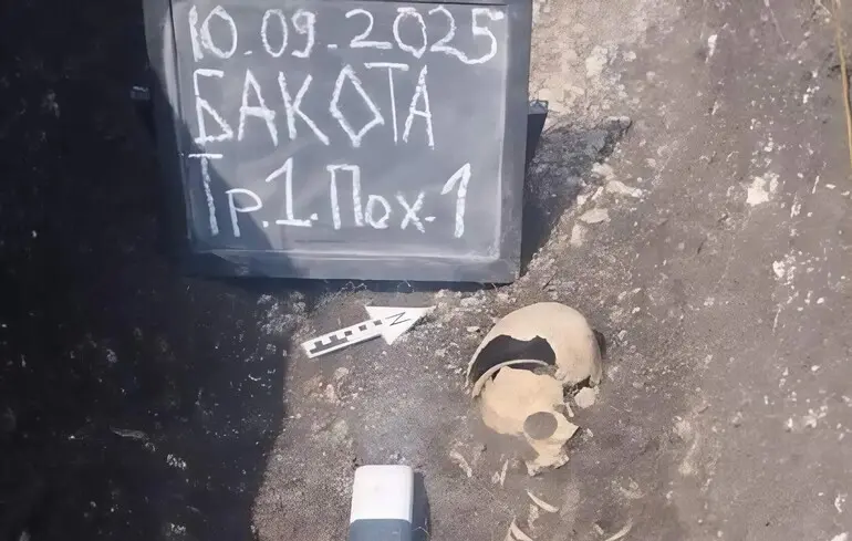 На Бакоте нашли захоронение ребенка времен Киевской Руси: что известно