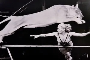 «Перформативное искусство. Цирк»: в Киеве представили историю цирковой культуры