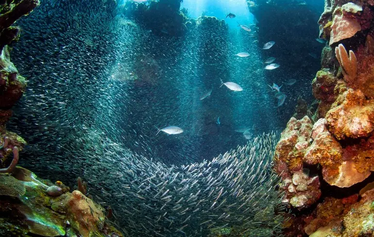 Фото ілюстративне.