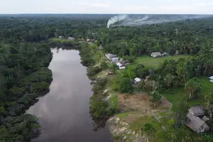 Дослідники з'ясували, що вирубка лісів Амазонії спричинить екстремальні дощі, спеки та вітри, замість повного висихання