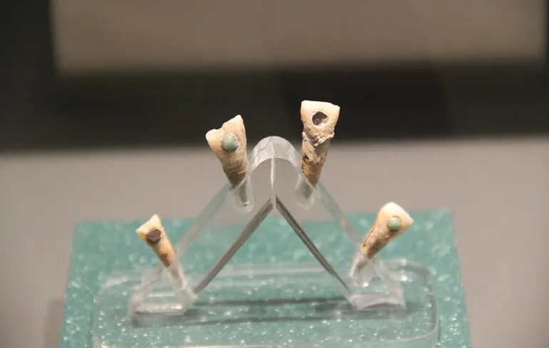 Археологи виявили зубні прикраси з зеленого нефриту у 7-річної дитини мая