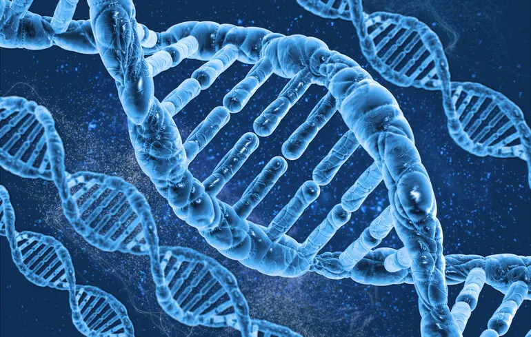 Фото ілюстративне.