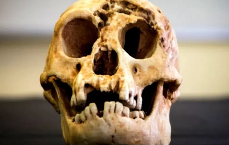 Ученые рассказали, почему «хоббиты» были такими маленькими