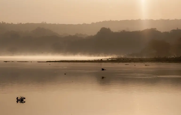 Фото ілюстративне.