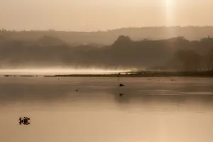 Более 600 миллионов человек могут потерять доступ к воде: ученые фиксируют худшую засуху за 1300 лет