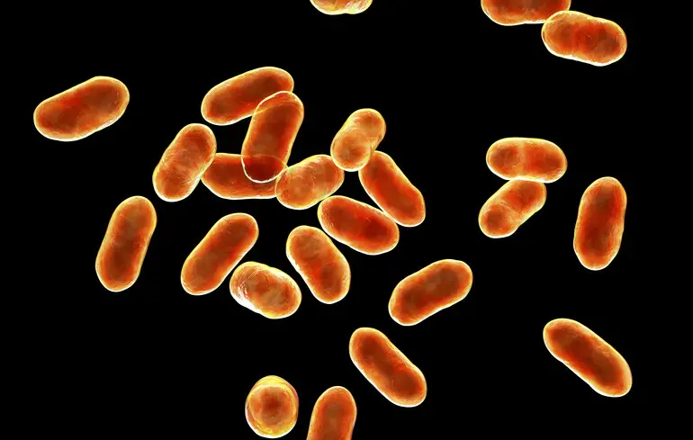 Фото ілюстративне.