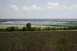 Прогнозы о будущем Каховского водохранилища: сможет ли природа самостоятельно восстановиться?