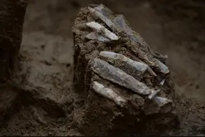 Вчені знайшли 