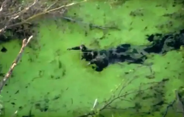 В Курской области россияне уничтожили своих солдат, которые хотели сдаться ВСУ — 95-я бригада