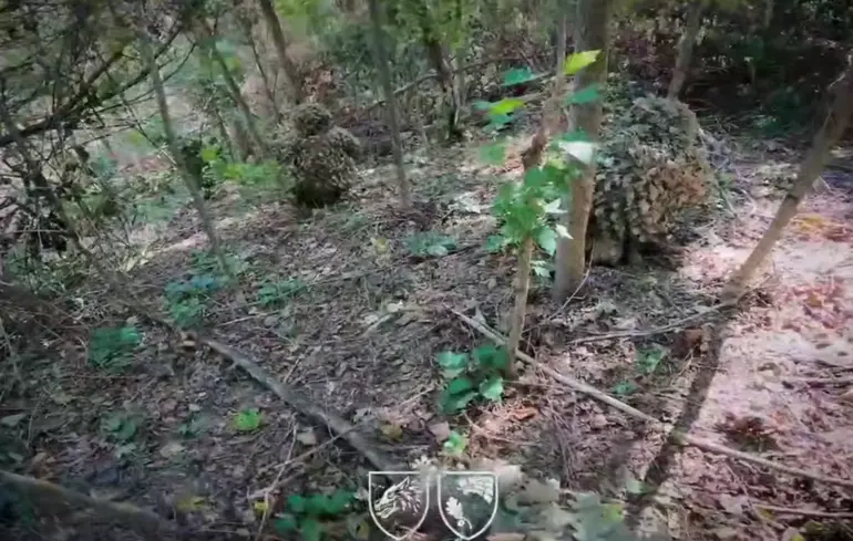 Бійці ССО знищили військових з «елітної» бригади росіян, одного взяли в полон: відео