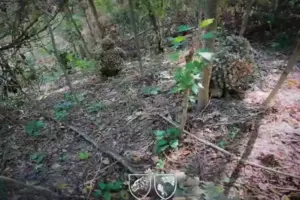 Бойцы ССО уничтожили военных из 