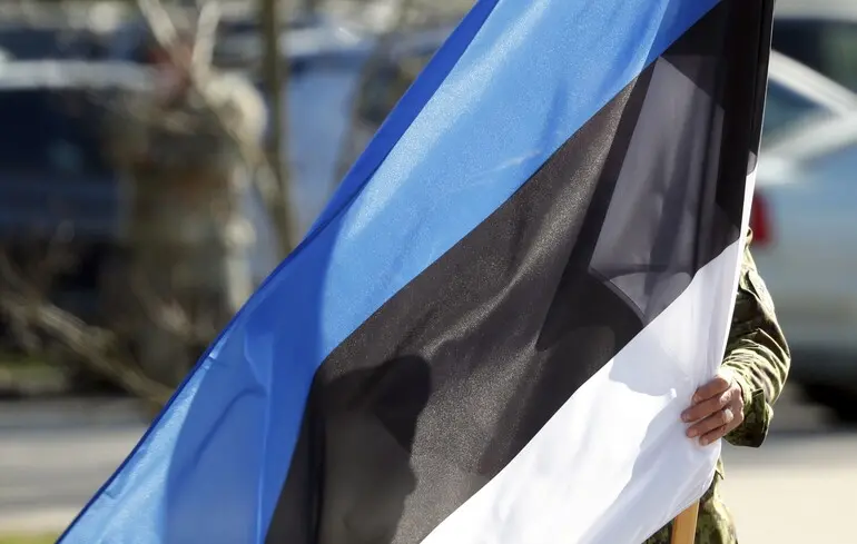 Збити літаки РФ, які порушили повітряний простір Естонії, було б стратегічною помилкою - командувач естонських Сил оборони