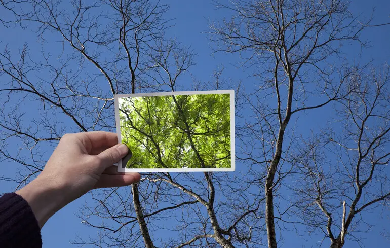 Позитивне мислення і «самозапильний сад»: критичний погляд на українську психологію