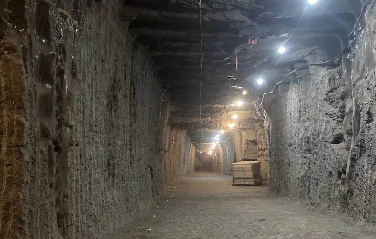 Спали тисячі років: мікроби з вічної мерзлоти 