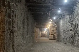 Спали тисячі років: мікроби з вічної мерзлоти 