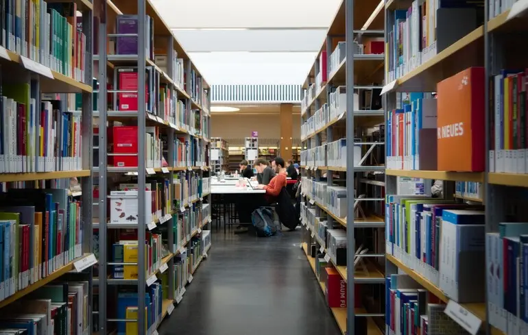 Зарплати викладачам в університетах України суперечать законодавчим нормам — експерт 