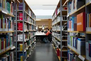 Зарплати викладачам в університетах України суперечать законодавчим нормам — експерт 