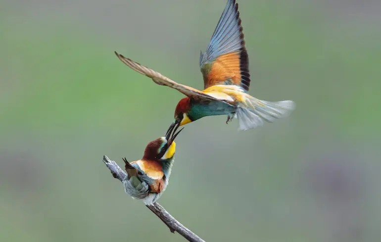 Фото ілюстративне.