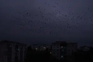 Донеччина залишилась без світла через атаку росіян