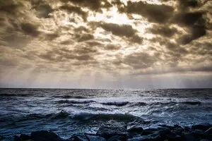 Экологи обеспокоены: концессия порта Черноморск угрожает окружающей среде