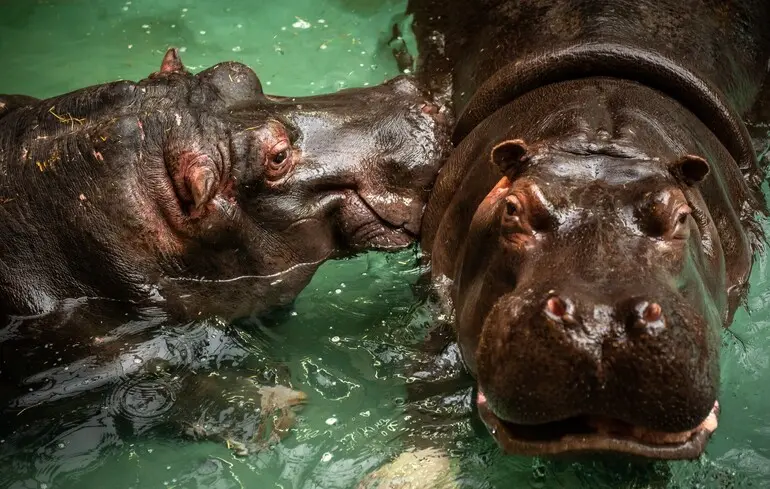 Фото ілюстративне.