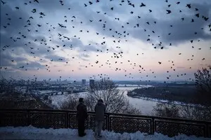 Масові відключення електрики в Україні взимку: експерти назвали можливі сценарії 