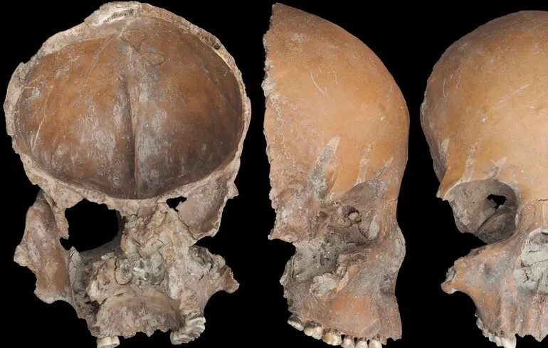 Чаша и маска из человеческого черепа.