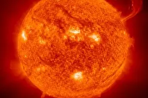 Ученые обнаружили 