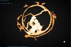 Муравьи меняют форму муравейников для защиты от эпидемий