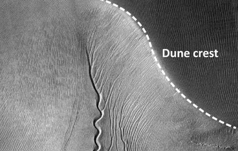 Звивисті яри, вирізьблені на піщаних дюнах на Марсі.