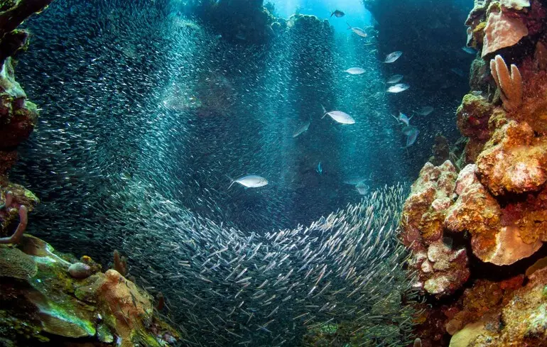 Фото ілюстративне.
